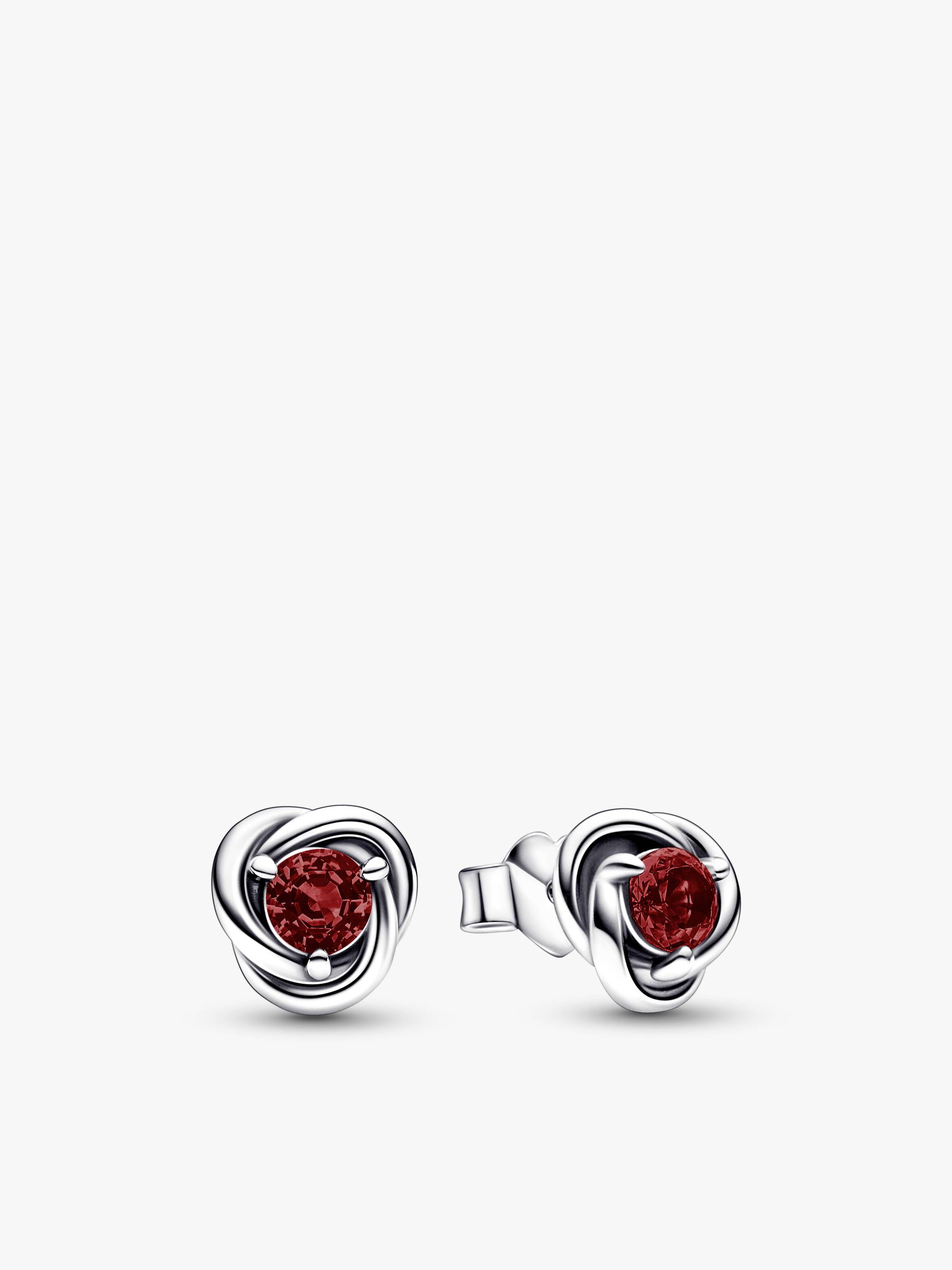 January Birthstone Eternity Circle Stud Earrings