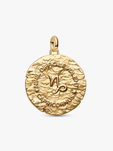 Capricorn Zodiac Oversized Medallion Charm