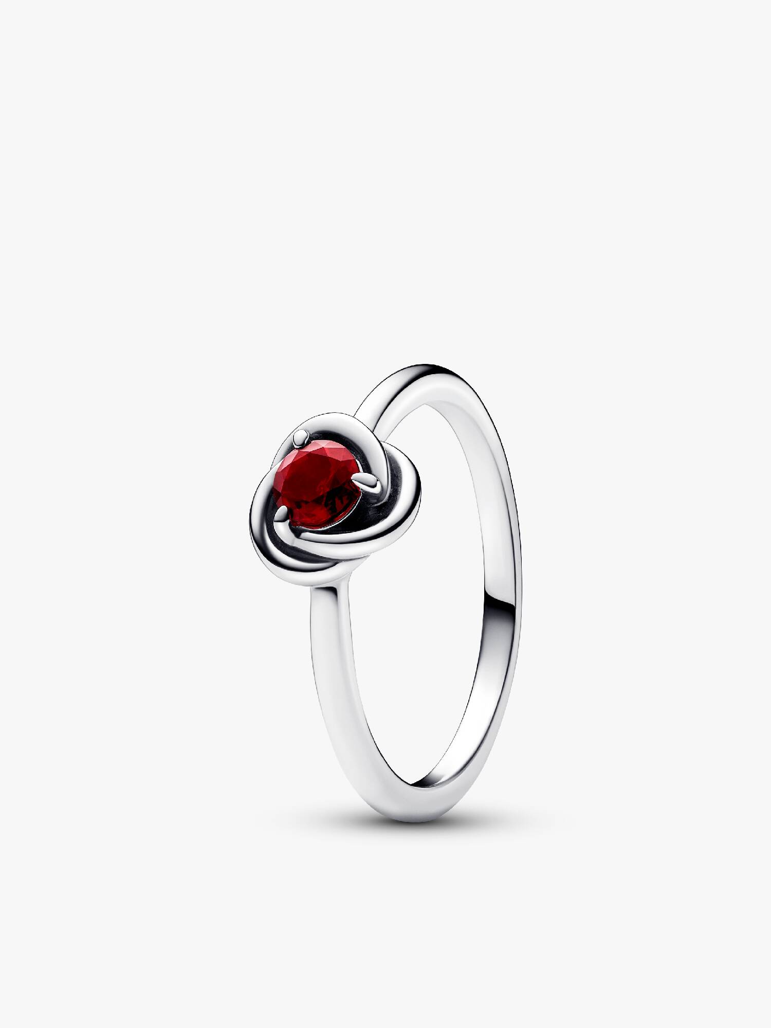 January Birthstone Eternity Circle Ring