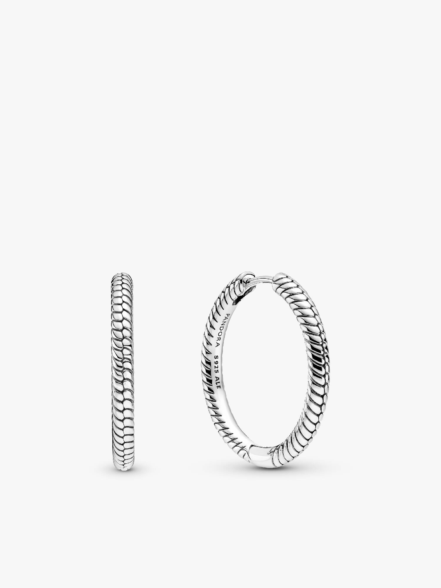 Pandora Moments Charm Hoop Earrings