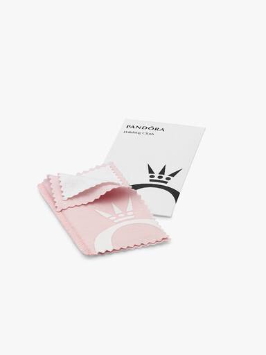 Polishing cloth