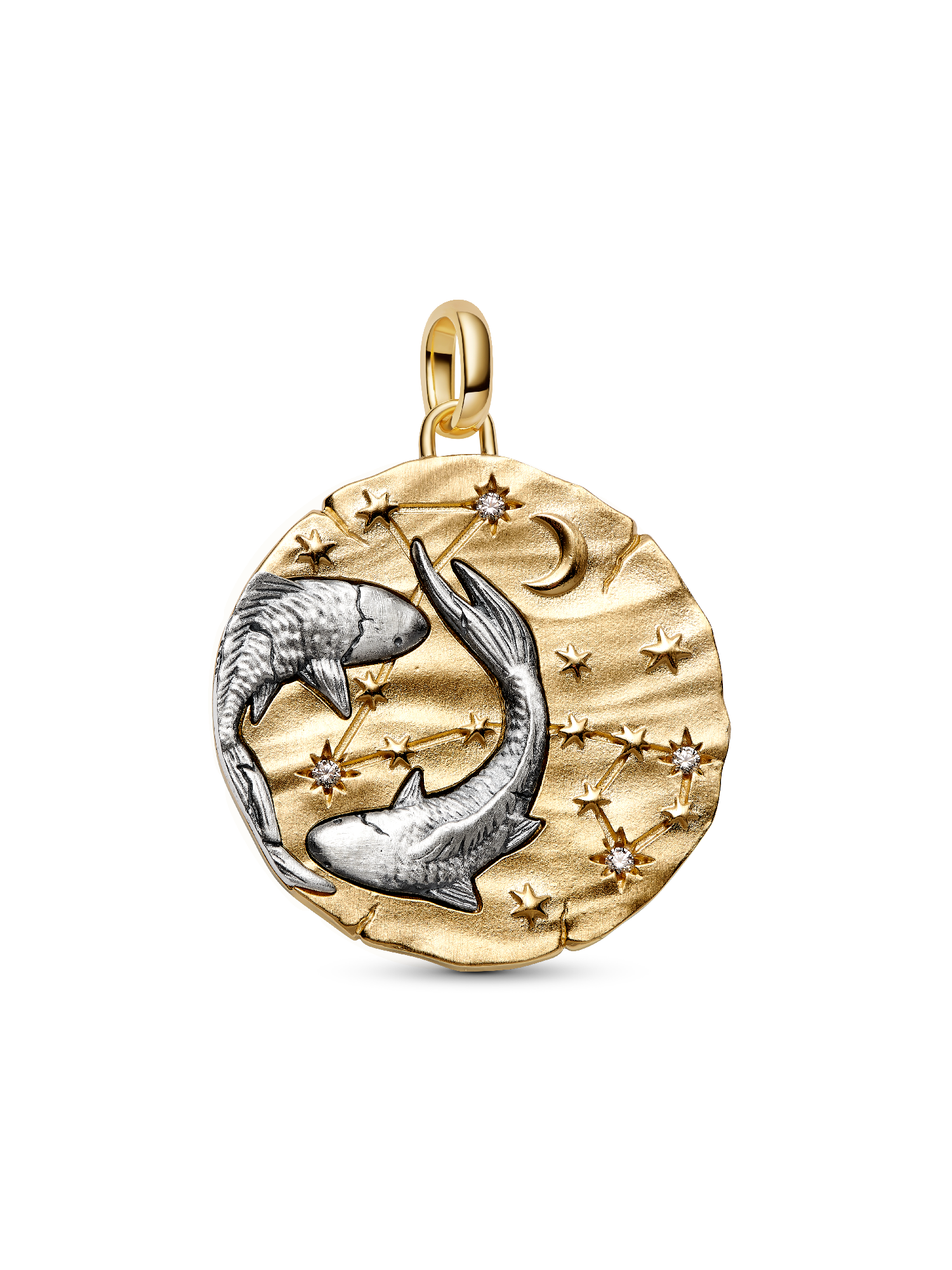 Pisces Zodiac Oversized Medallion Charm