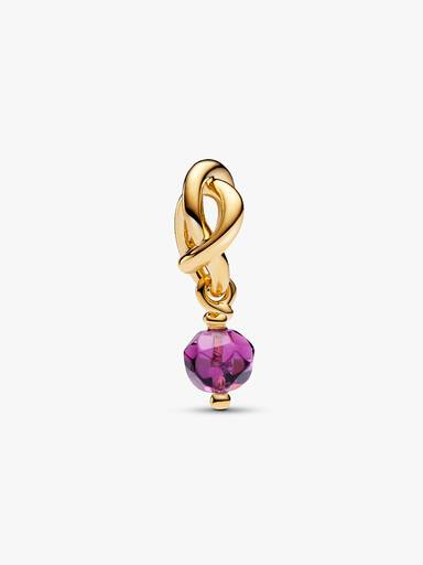 February Birthstone Eternity Circle Dangle Charm