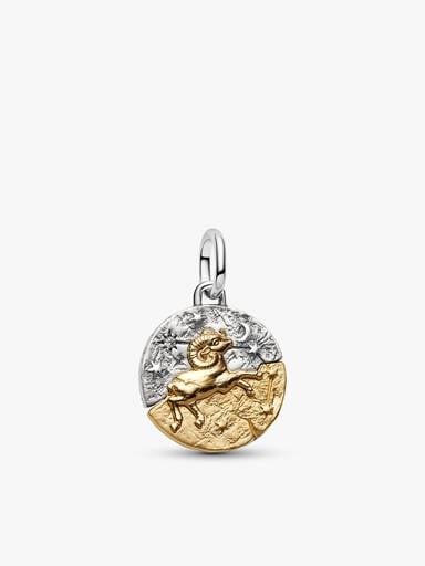 Aries Talisman Charm & Bracelet Set