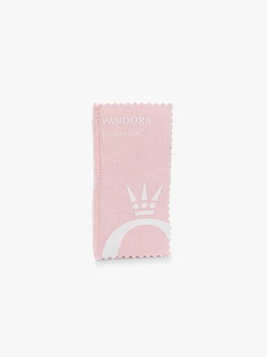 Polishing cloth