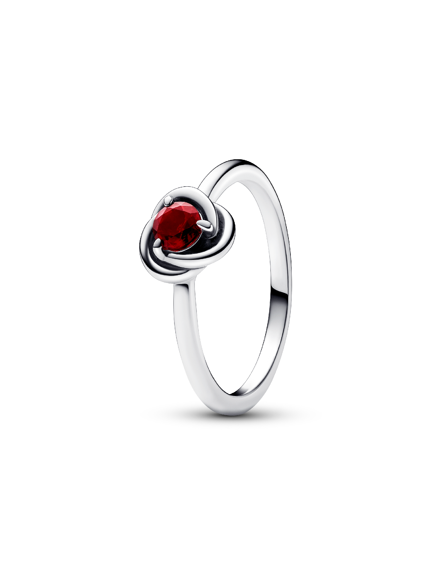 January Birthstone Eternity Circle Ring