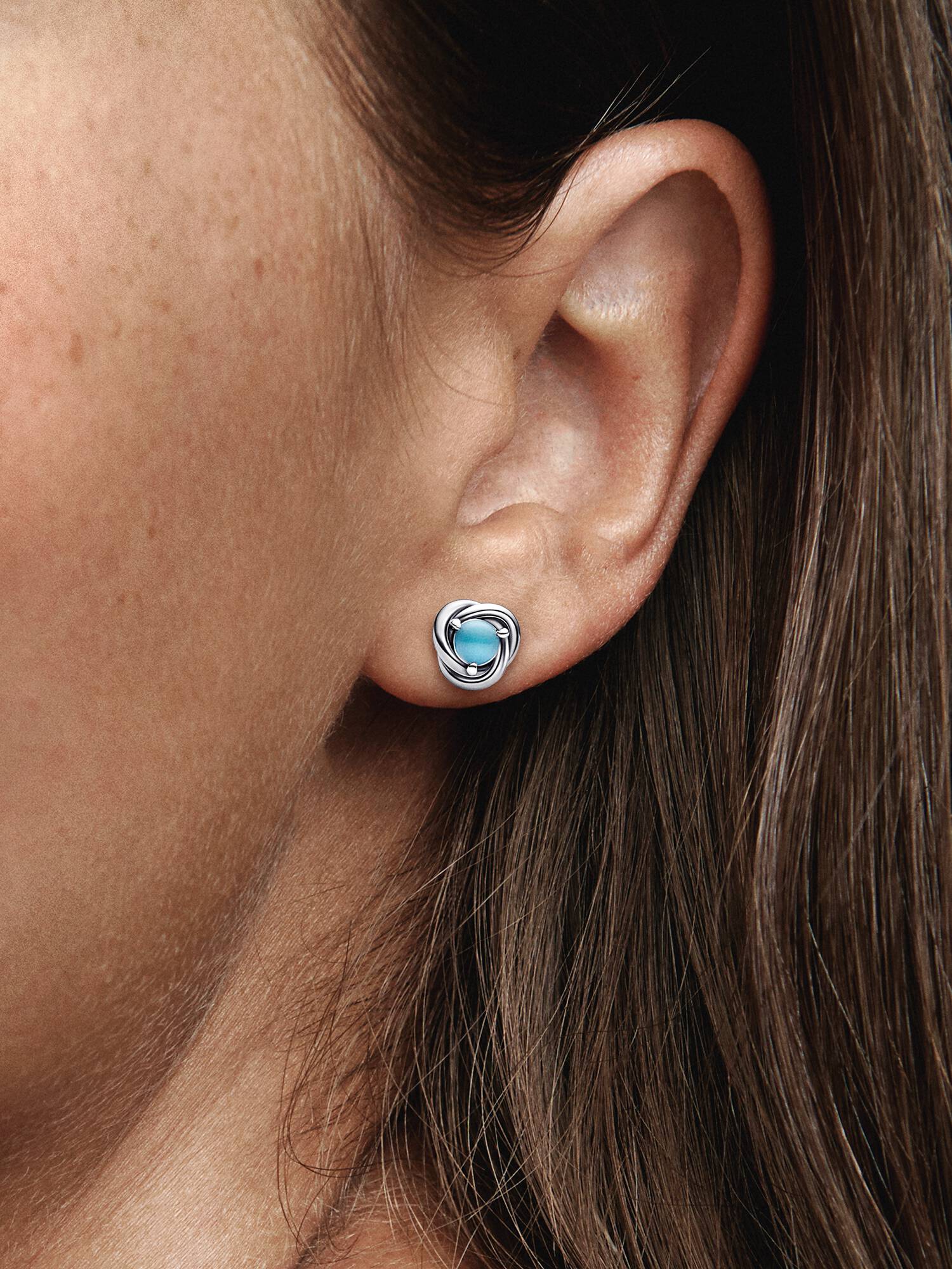 December Birthstone Eternity Circle Stud Earrings