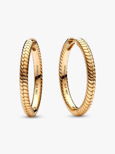 Pandora Moments Charm Hoop Earrings