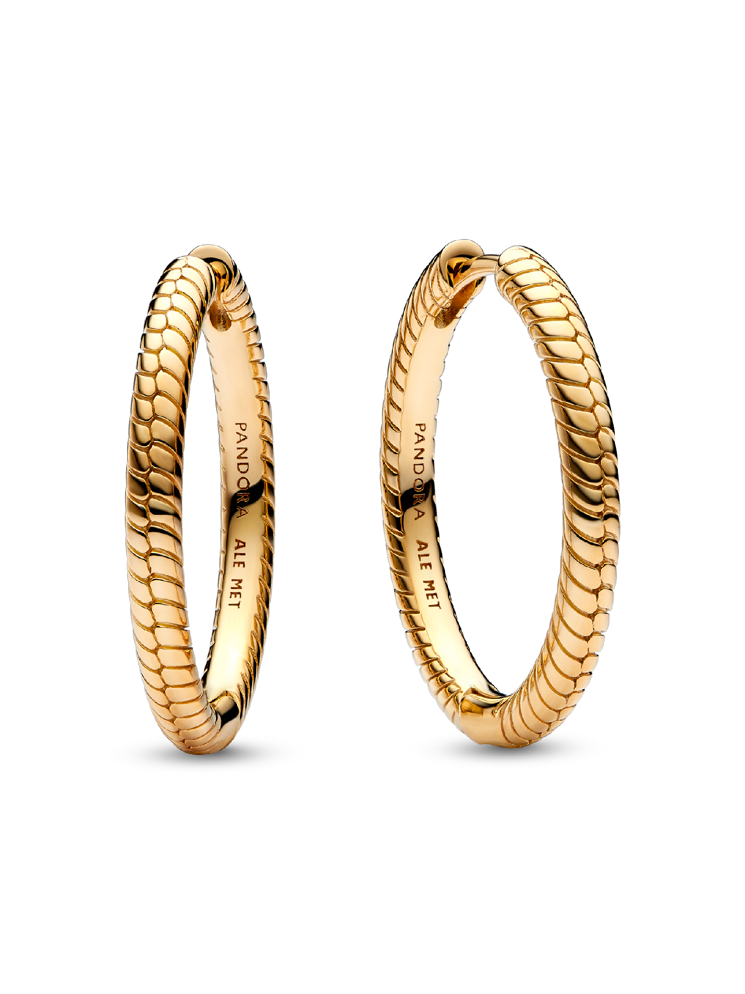 Pandora Moments Charm Hoop Earrings