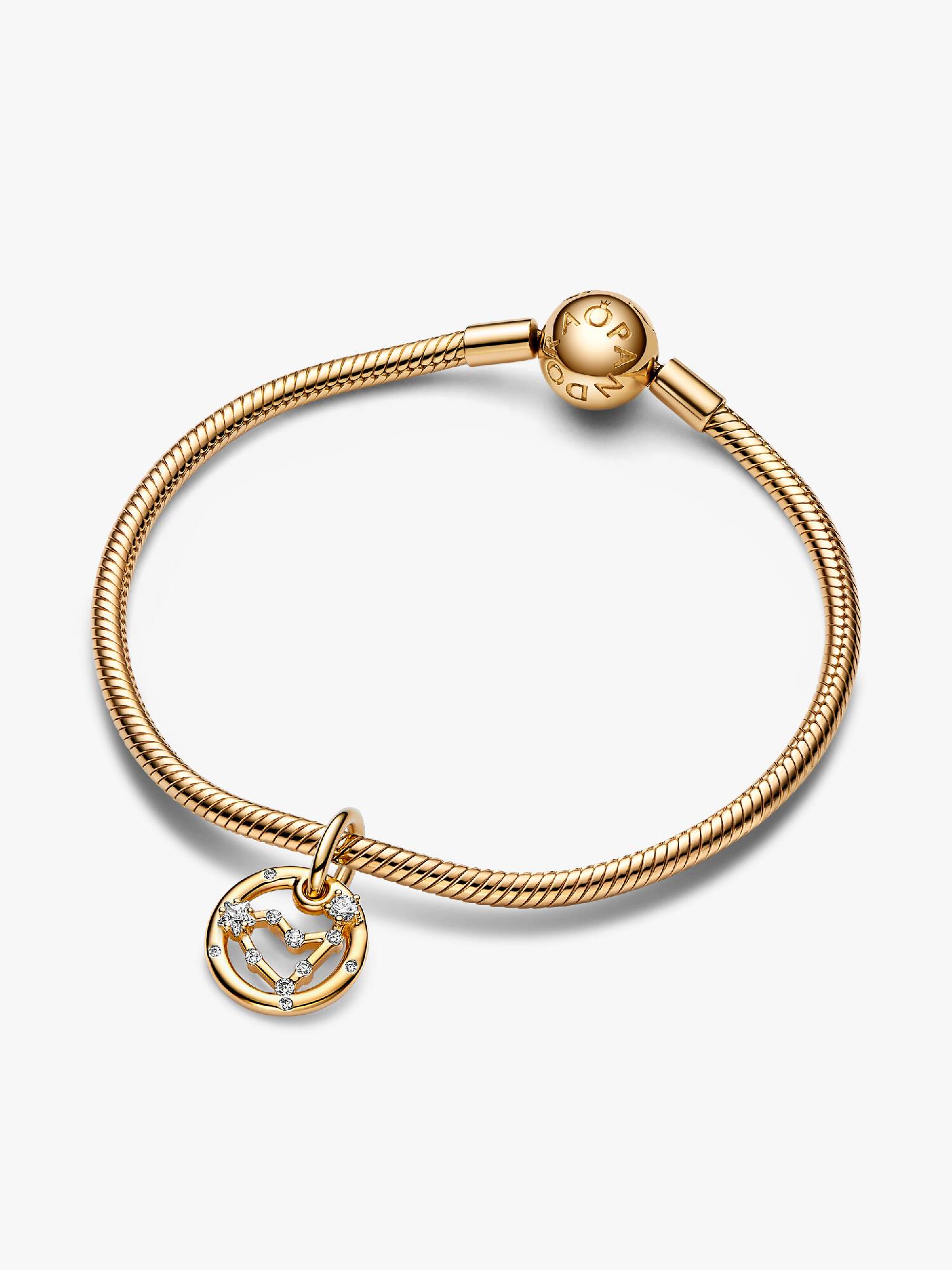 Capricorn Zodiac Dangle Charm Bracelet Set