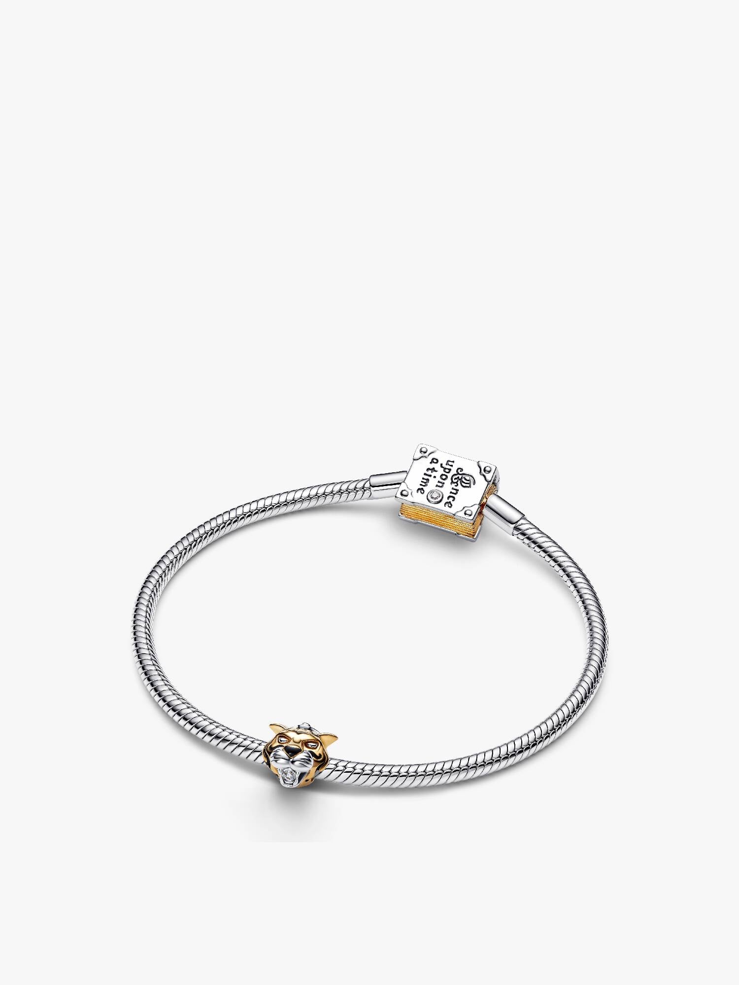 Limited Edition Jasmine Storybook Bracelet and Charm Gift Set