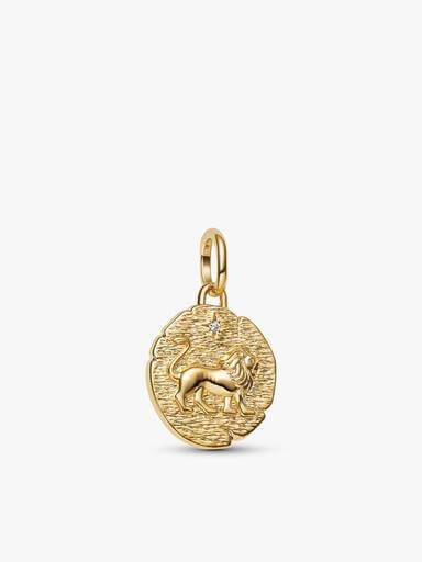 Lion Medallion Charm Necklace Set
