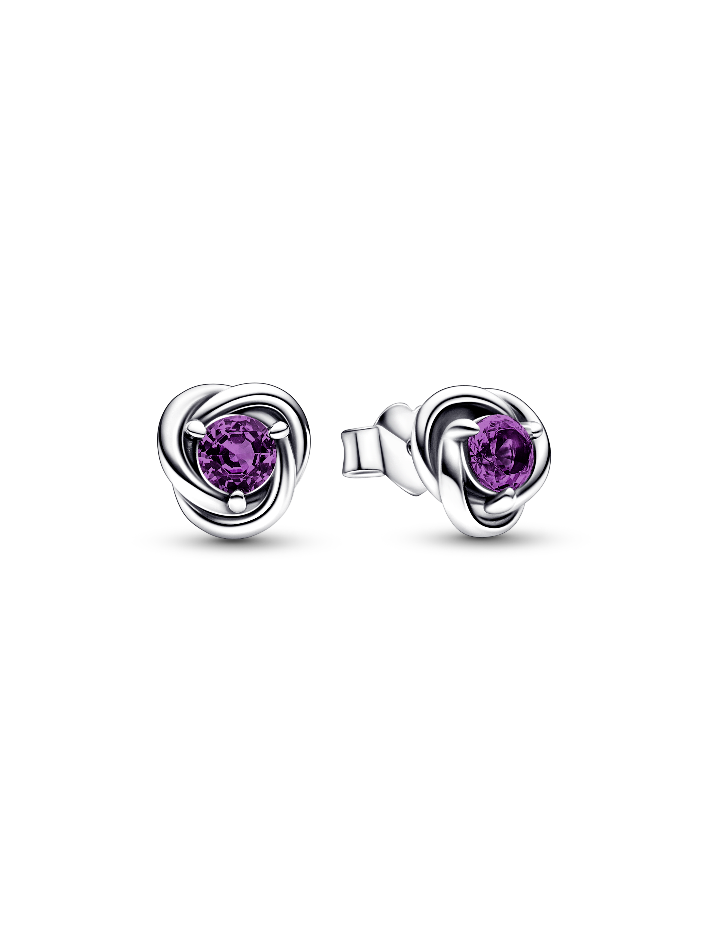 February Birthstone Eternity Circle Stud Earrings