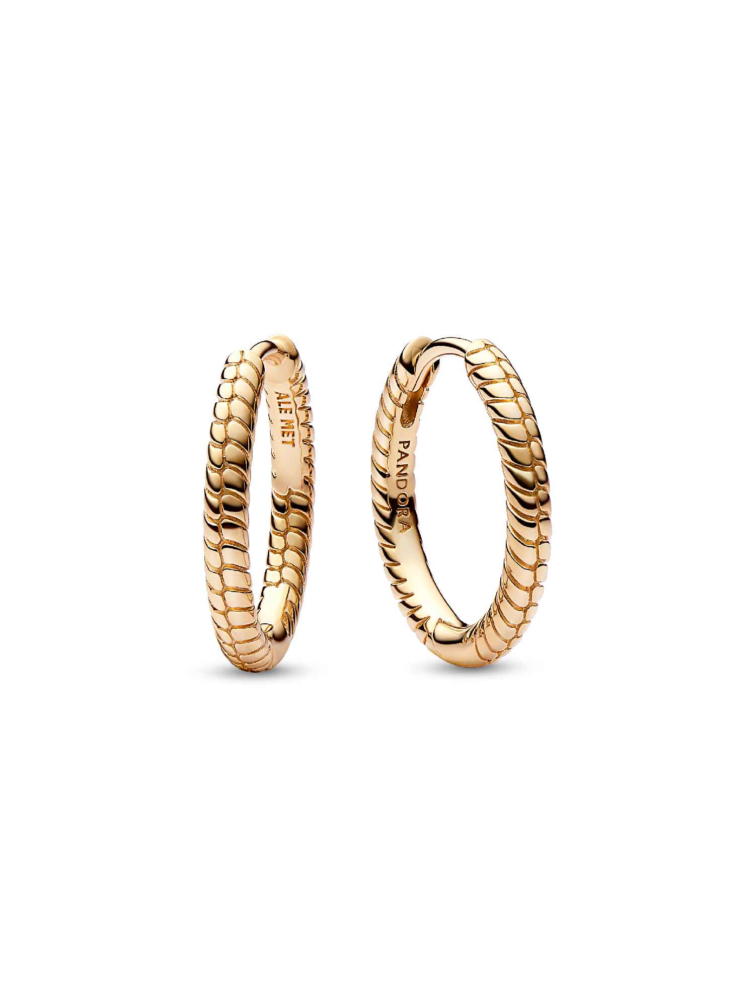 Pandora Moments Small Charm Hoop Earrings