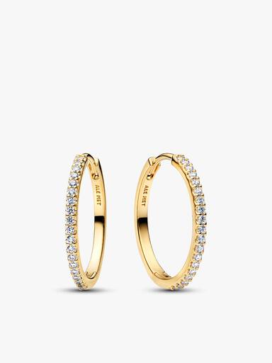 Gold Sparkling Hoop Earrings Set