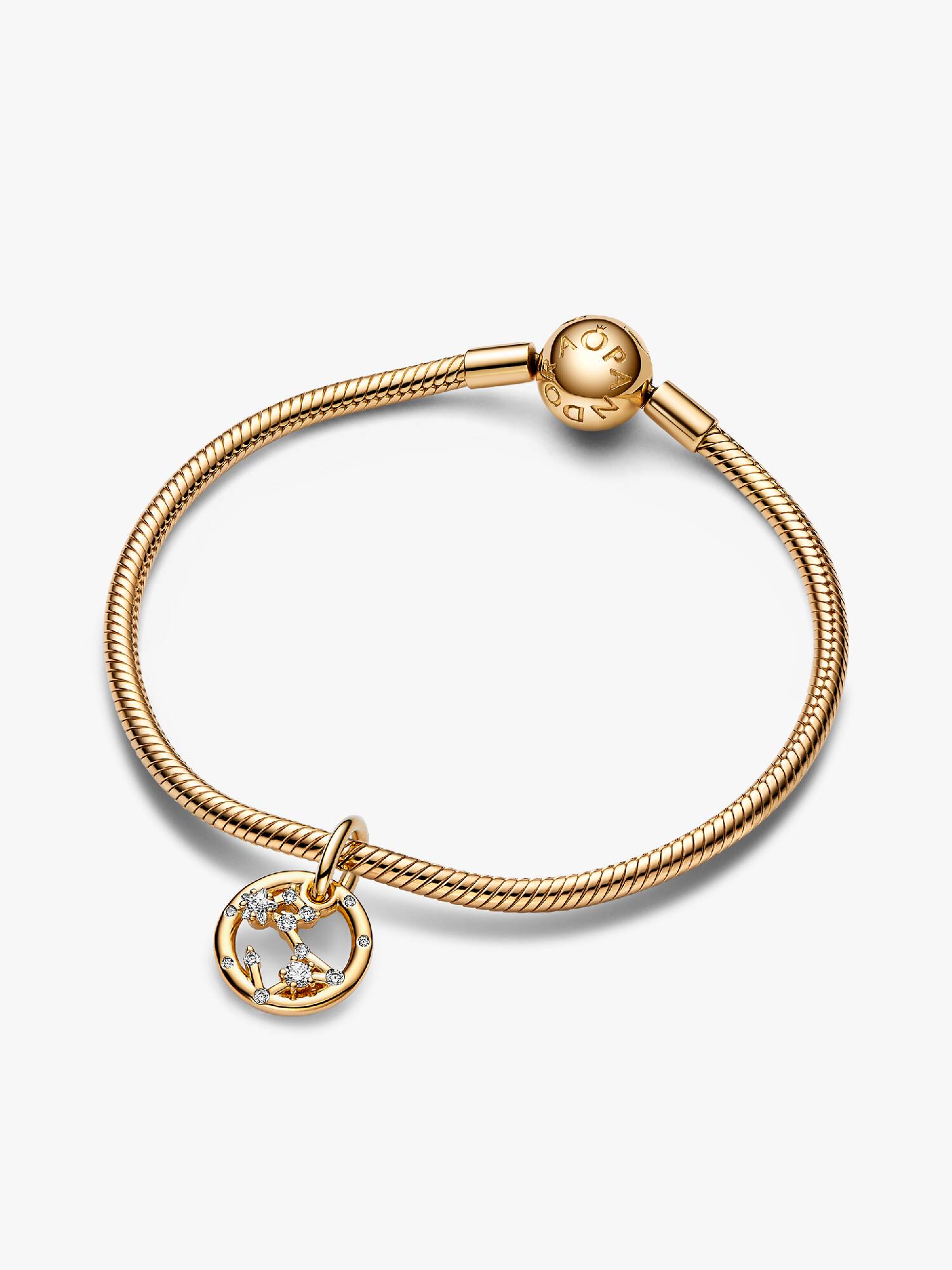 Pisces Zodiac Dangle Charm Bracelet Set